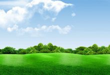 松江申中气体地址-上海申中特种气体有限公司